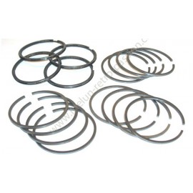 54.5mm diameter segments, 2 x 2 x 2 x 3.5 - STANDARD Sizes - Set of 16