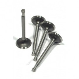 Inlet valves with 7 mm tail diameter. - SET OF 4