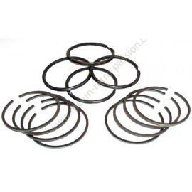 Segments diameter 58mm, thickness 2 x 2 x 3.5 - Set of 12