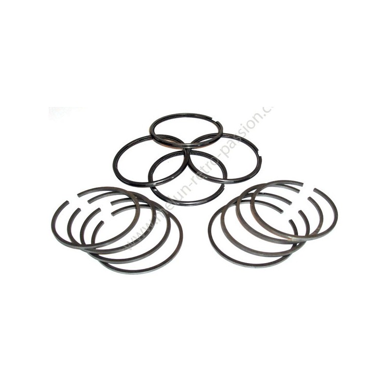 Segments diameter 58mm, thickness 2 x 2 x 3.5 - Set of 12