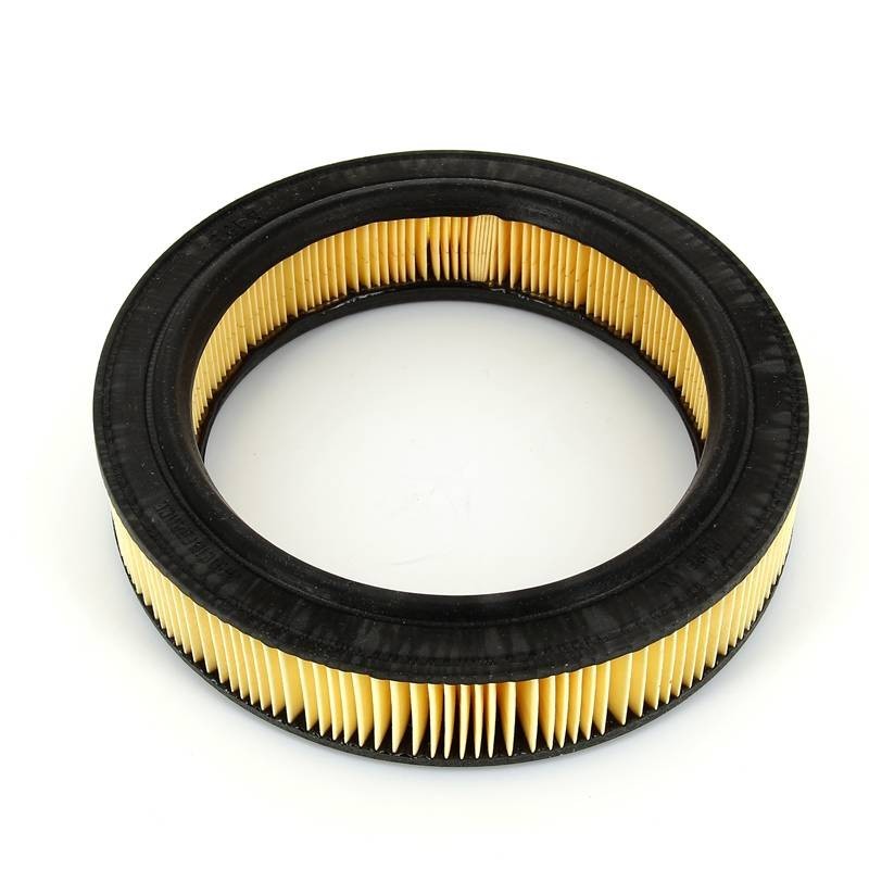 RENAULT R5 AIR FILTER see description