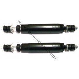 front shock absorbers RENAULT ESTAFETTE brand RECORD