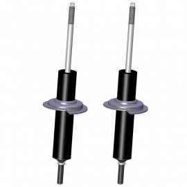 RENAULT R12 front shock absorbers brand RECORD