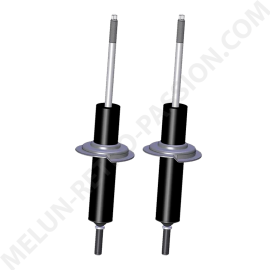 RECORD FRONT SHOCK ABSORBERS RENAULT R25